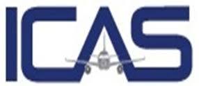International Cargo and Aviation Service PLC (ICAS)